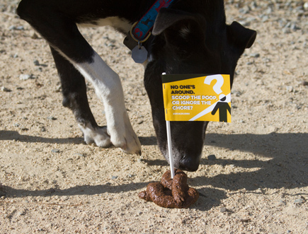 Exploratorium Science of Sharing exhibit fake poop guerrilla marketing - San Francisco creative agencies