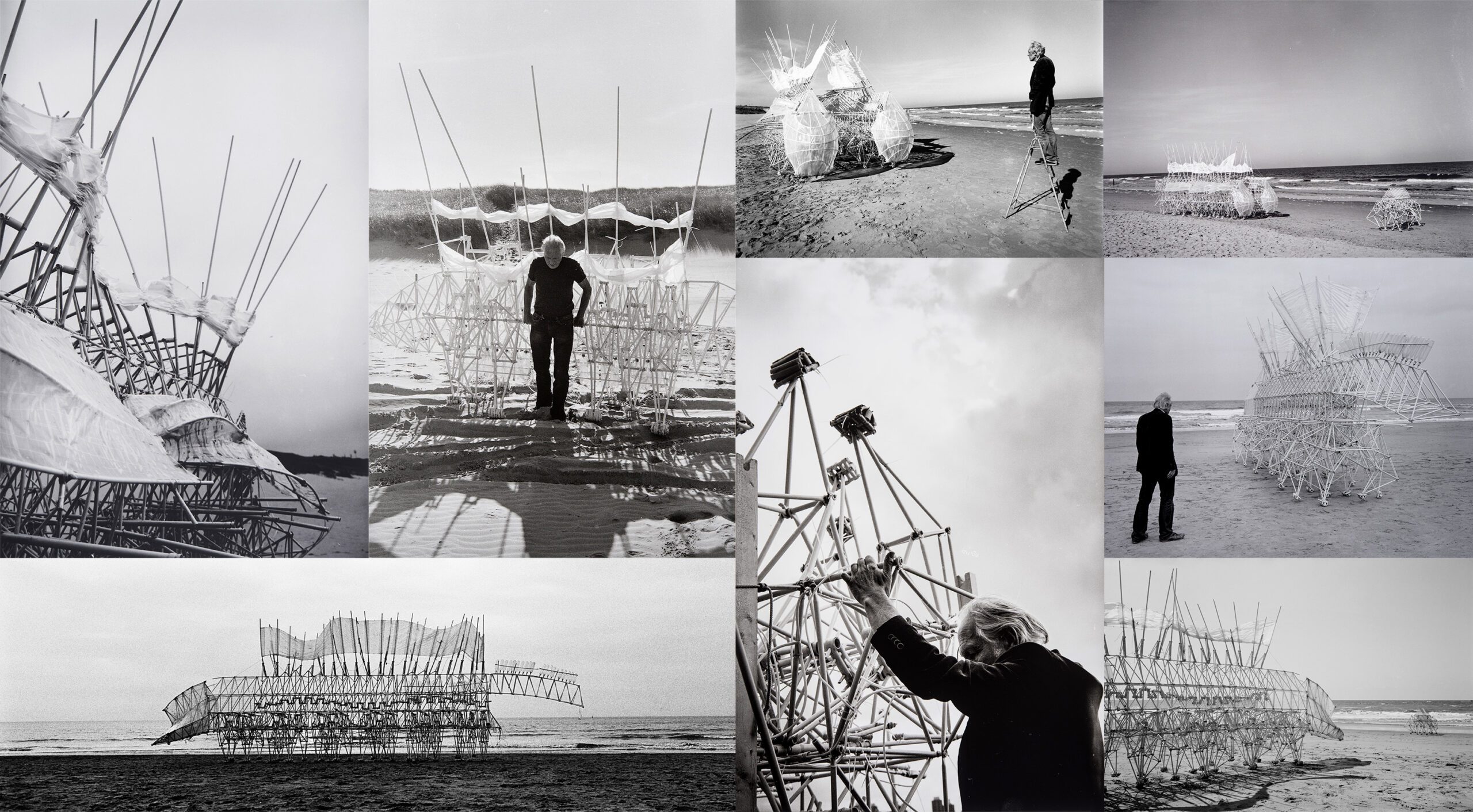 strandbeest-bw-collage